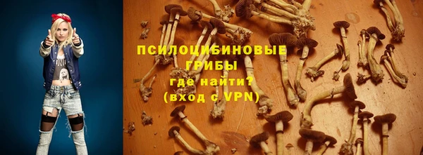 a pvp Абдулино
